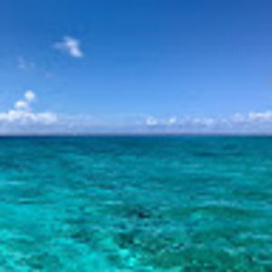 Meet your Posher, Aprill